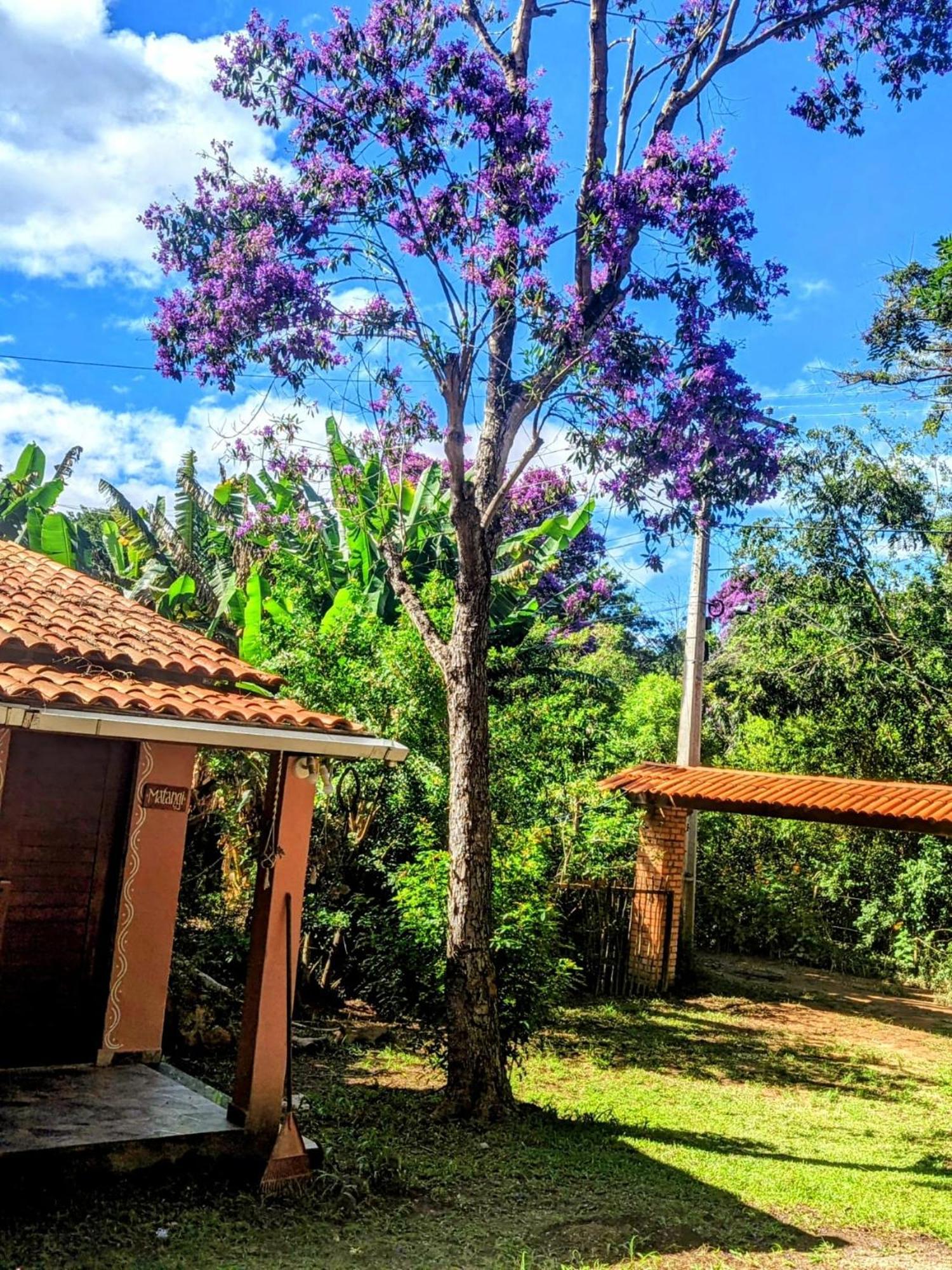 Casa Das Irmas - So Mulheres - Women Only Валі-ду-Капан Екстер'єр фото